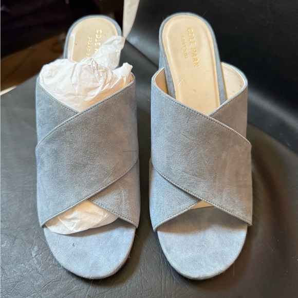 Cole Haan Blue Suede Heels - Picture 1 of 3